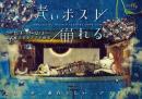 アマヤドリ『青いポスト』DVD